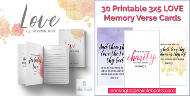LOVE 30-Day Scripture Journal + Memory Verse Card Bundle
