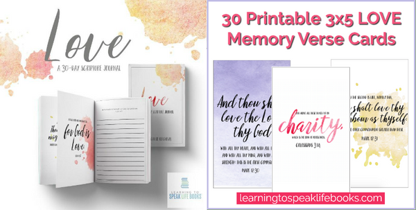 LOVE 30-Day Scripture Journal + Memory Verse Card Bundle
